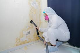 Best HVAC Mold Inspection and Cleaning  in Gretna, LA